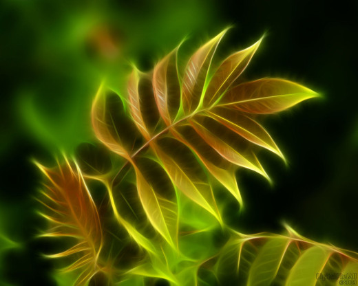 18464 (a): :1280x1024